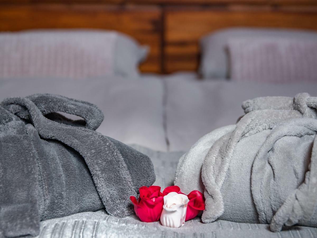 Penzion Na Barokni Ceste Wellness & Spa Plasy Kültér fotó